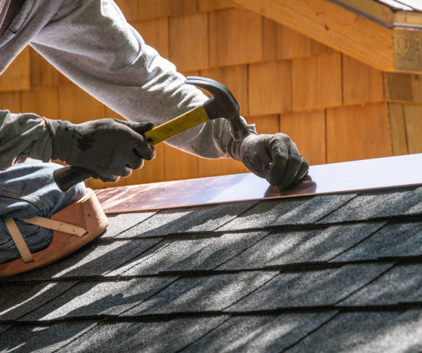 Roof Gutter Cleaning in Tickfaw, LA